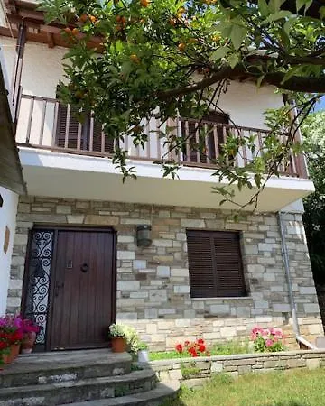 Panagopoulos House 别墅 Agios Ioannis (Thessaly)